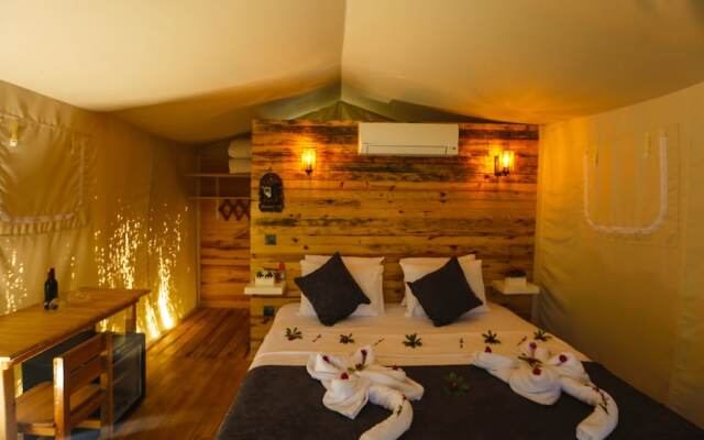 Green Pine Beach & Bungalows Luxury Concept