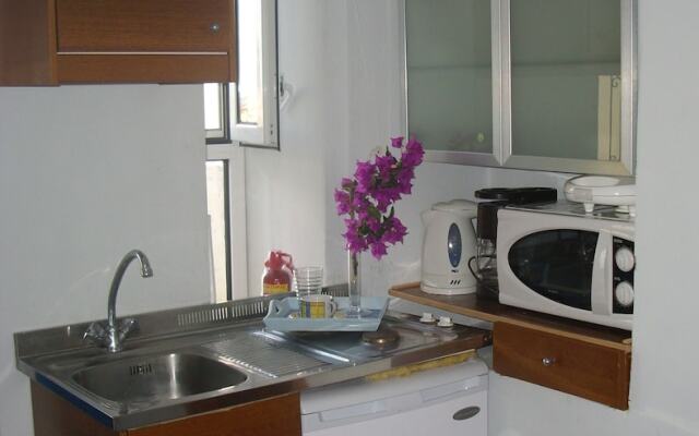 "alkistis Cozy By The Beach Apt. in Ikaria Island, Therma Ground Floor"