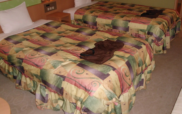 Spa & Hotel Maihama Eurasia