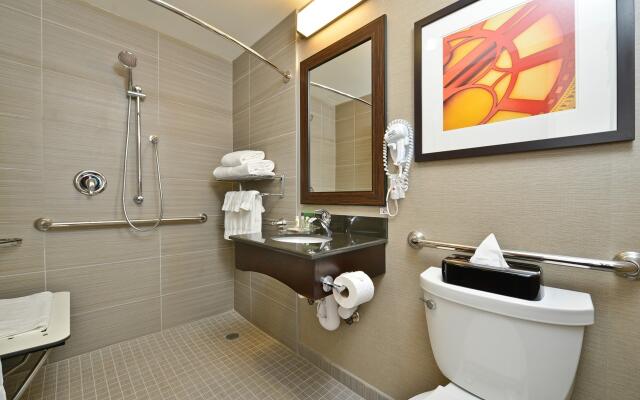 Holiday Inn NYC - Lower East Side, an IHG Hotel