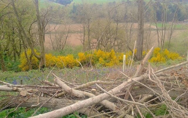 Mortimer Trail B & B