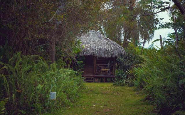 Aventura Rincon Ecolodge