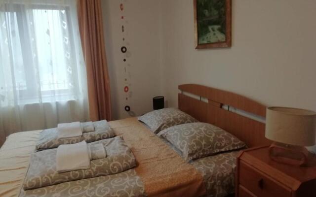 Pensiunea Casa Butnarului