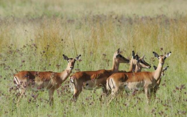 Woodlands Game Lodge Leisure