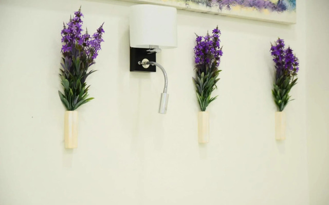 Sweet apartment near center