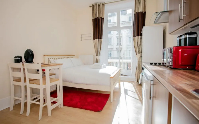 Gorgeous Studio Apartment Near Pimlico