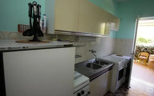 Apartments Spacious Summer House