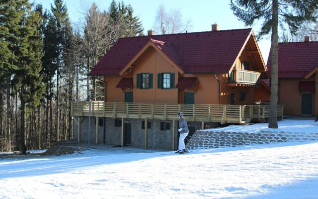 Apartmaji Martin Pohorje