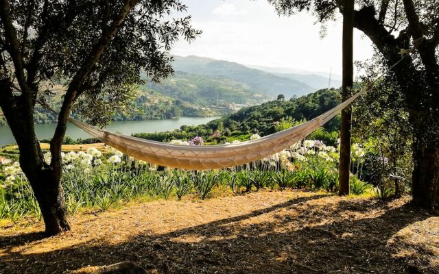 Casa da Mouta - Douro Valley