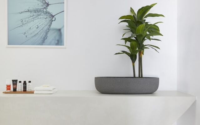 Le Blanc Nest