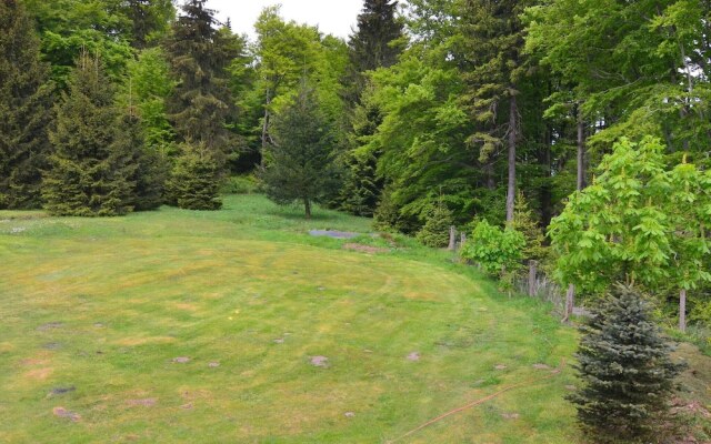 Modern Apartment in Tabarz/Thüringer Wald with Garden