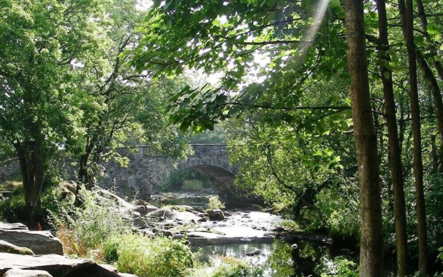 The Old Farm