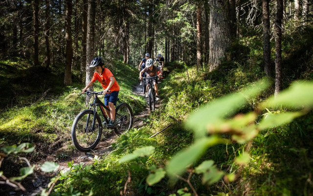 Edelweiss Casa Surmir