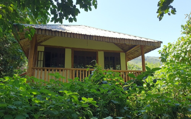 The Gorilla Resort