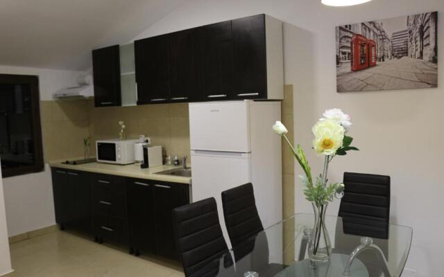 Timisoara City Apartments