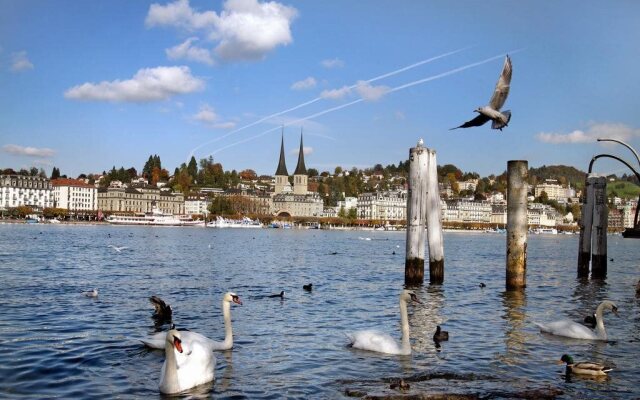 Stern Luzern