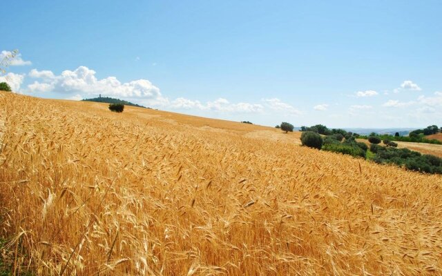 Agriturismo L'Antico Oliveto