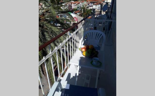 Palm tree studio, Podgora