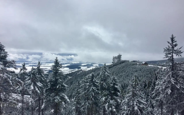 Apartmán V Zeleni