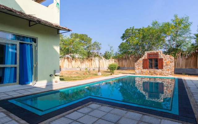 Forestville Yala