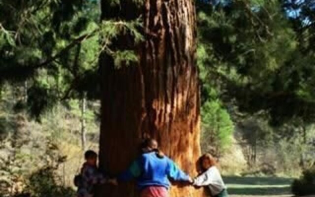 Casas Cuevas El Mirador