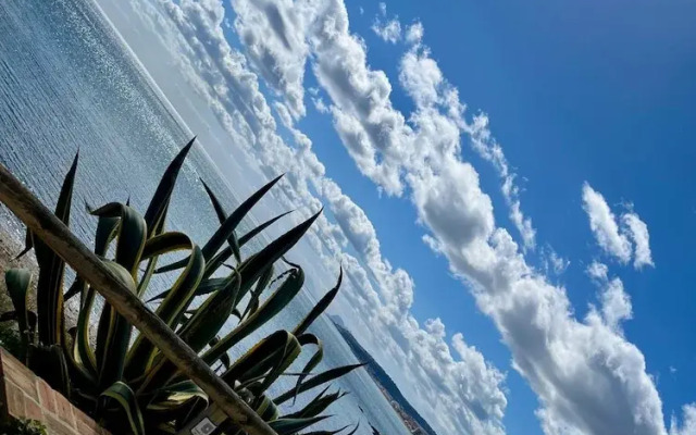 Premium Luxury-casares Del Mar-seaside Apartment