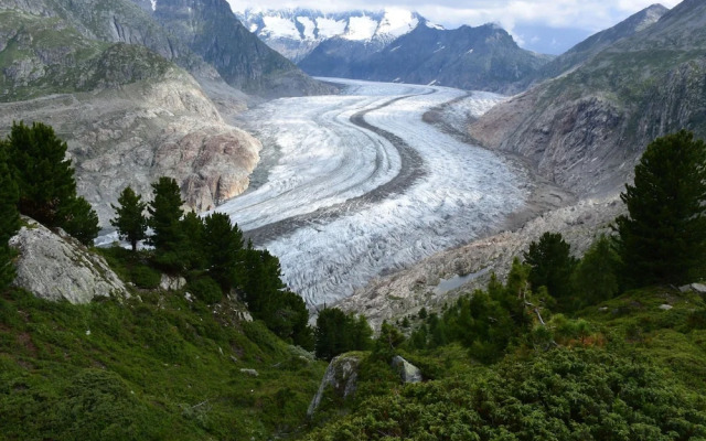 S Dlenz 33 Riederalp