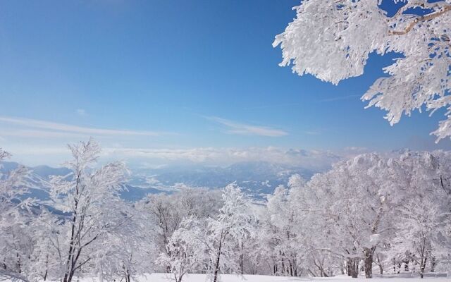 Nozawa Dream