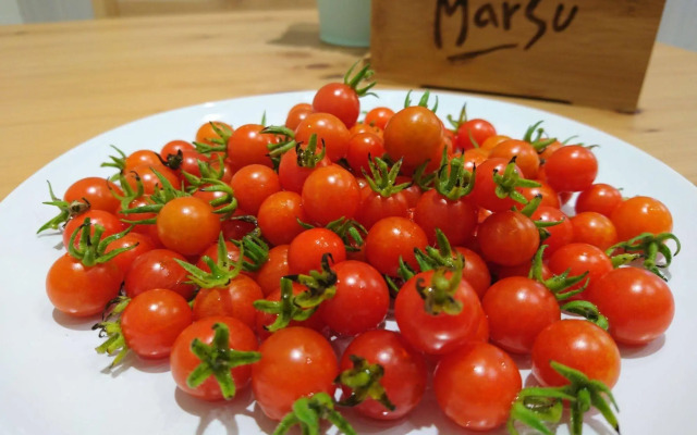 Marsu Xincheng SeaView Vegetarian B&B