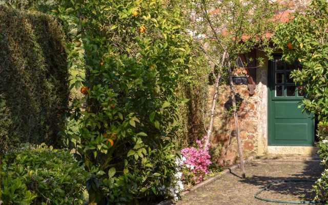 Detached house (formerly a mill) with swimming pool in an idyllic location