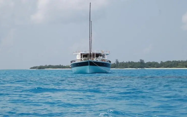 Flying Fish
