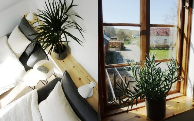 Kåseberga Hideout