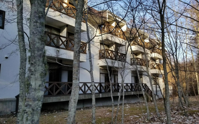Yamanakako-Asahigaoka-Onsen Hotel Seikei