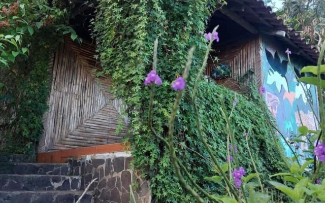 Finca Neblina del Bosque