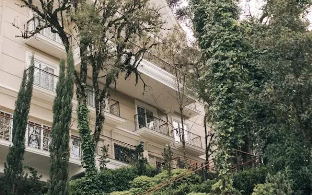 Daara Transamerica Collection Gramado