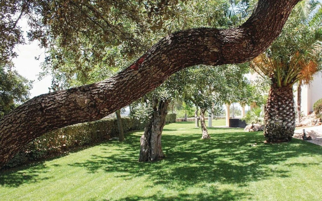 Stunning Home in Silves With Wifi and 4 Bedrooms