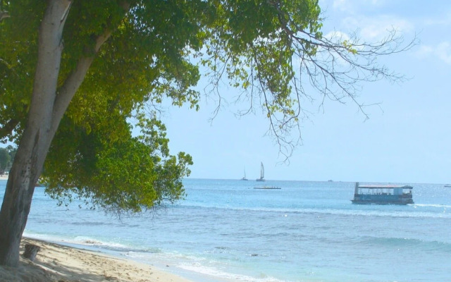 Coral Lane Beach Apartments