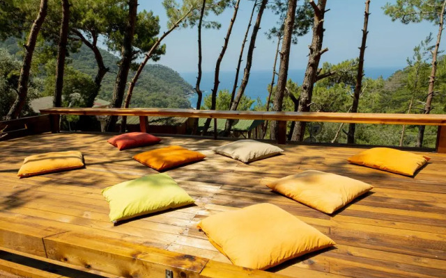 Tree House Otel