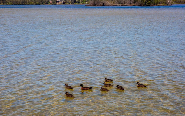 Bayview - Absolute Waterfront with Jetty - 5 Mins to Hyams Beach