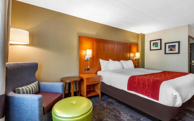 Comfort Inn & Suites Nashville Near Tanger Outlets