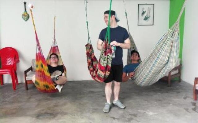 Iguana Haus