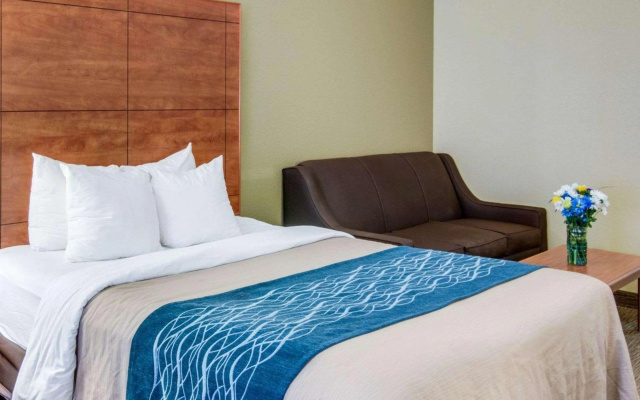 Comfort Inn & Suites El Dorado
