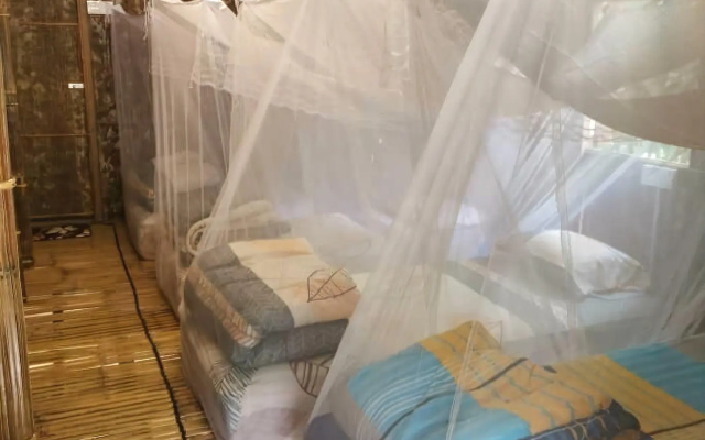 Rain Forest Inn – Guest Rooms – Ringlet