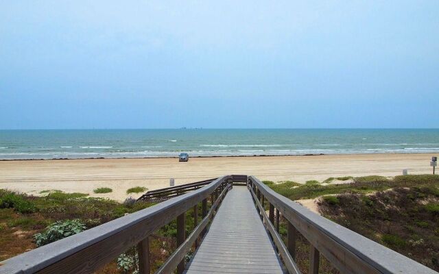 Happy Starfish LCV36