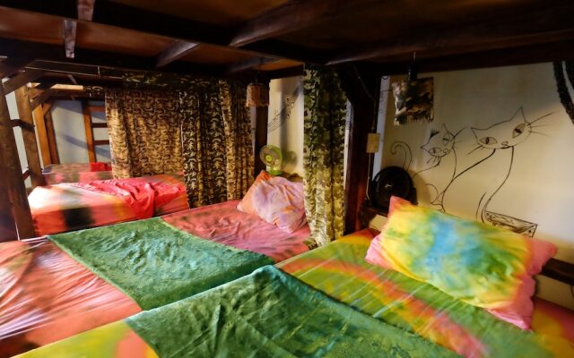Peacock Hostel