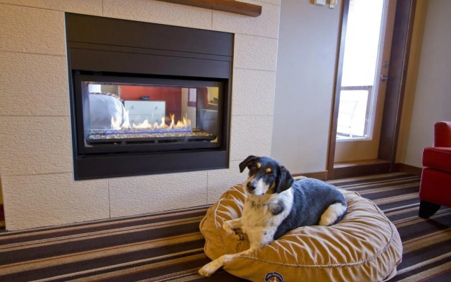 Evolution Whistler, by Lodging Ovations