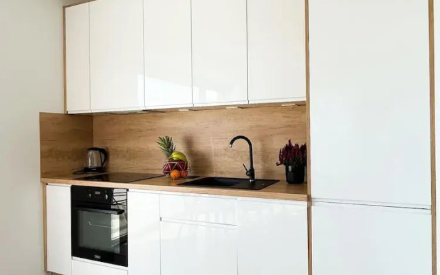 Luxury Apartment on Drewnowska Street