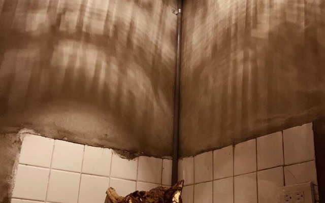 Yian Branch2 Backpacker lnn