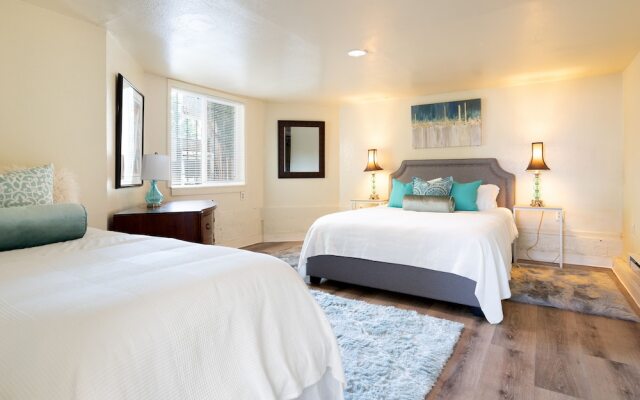 Bright & Spacious One Bedroom Apartment