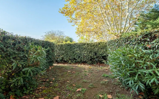 Sunlit Coastal Comfort